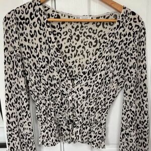 Zara Cheetah Print Long Sleeve Top